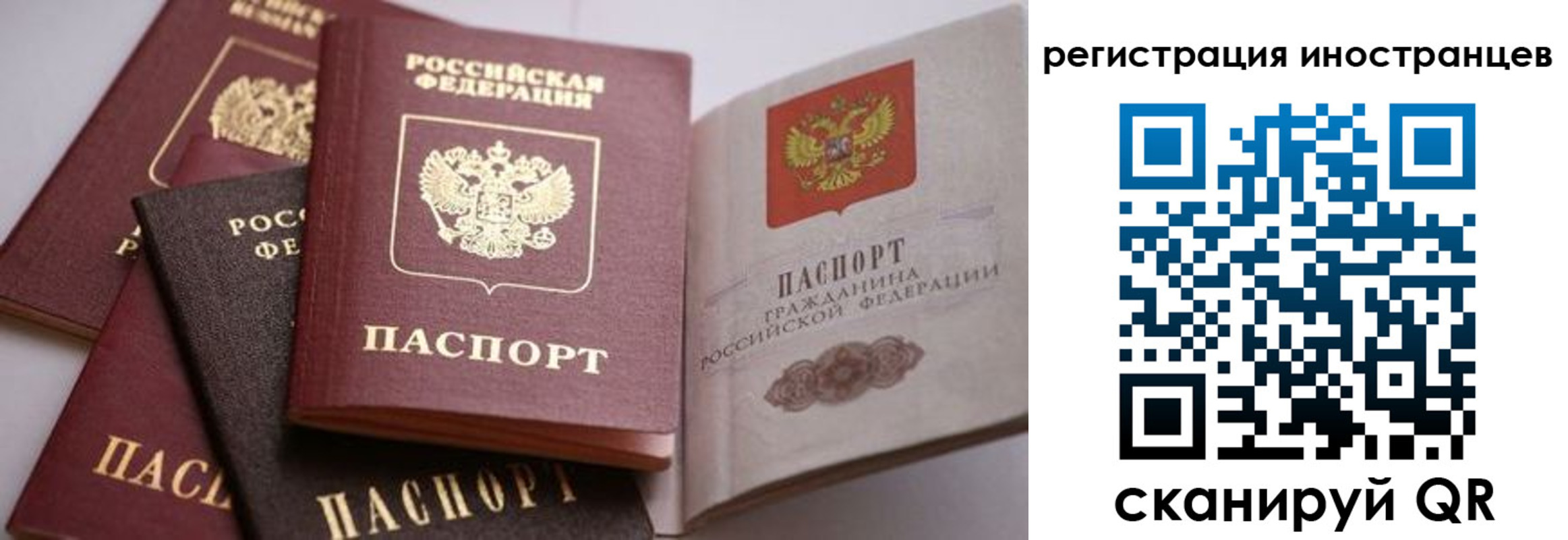 прописка штамп в Снежногорске